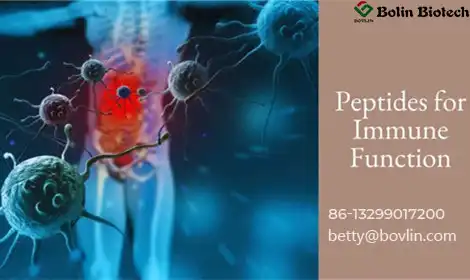 Strengthen Your Immunity with Soybean Peptides